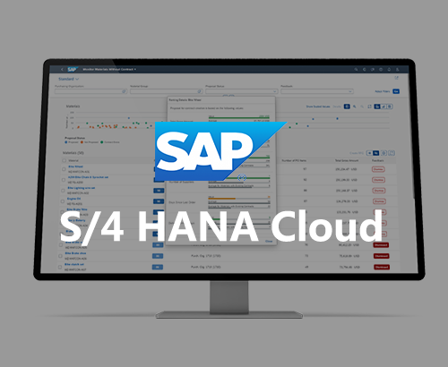 SAP S/4 HANA Cloud,SAP ERP,SAP Public Cloud